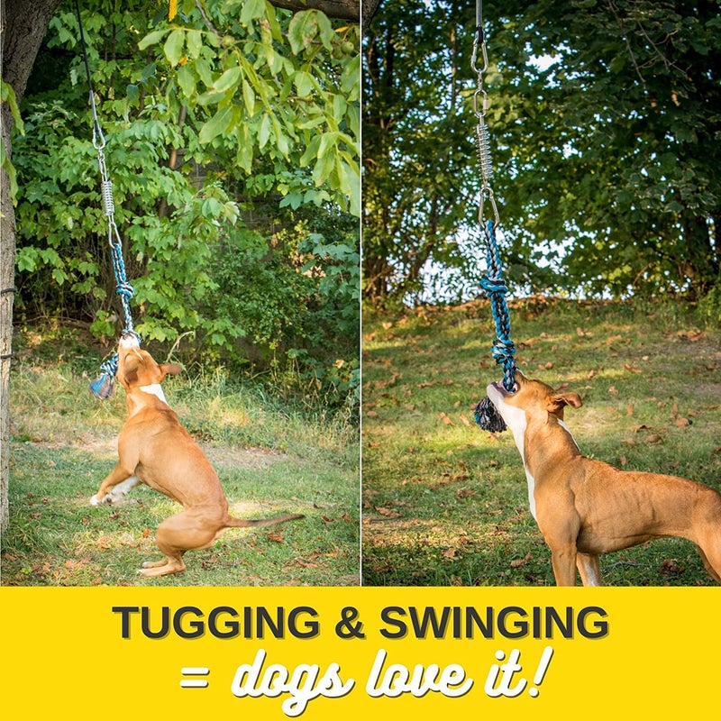 YES4QUALITY Flirt Pole for Dogs, 2 Durable Spring Poles with Strong Dog Rope Toy, Heavy Duty Lure Pole for Dogs of Any Size, Dog Toy for Fun Obedience Training & Exercise, Pull & Tug of War Toy - Image 2